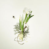 Bamford | White Iris Garden Diffuser 250ml | THE FIND
