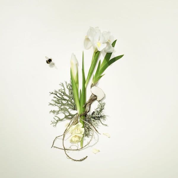 Bamford | White Iris Garden Diffuser 250ml | THE FIND