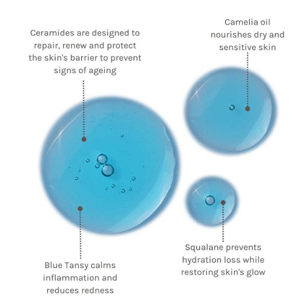 Evolve | Blue Velvet Ceramide Serum - 30ml | THE FIND