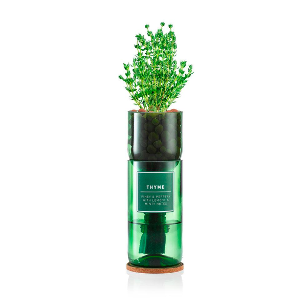 Hydro Herb | Thyme Hydro Herb kit | THE FIND