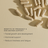 Wild Nutrition | Pregnancy & New Mother Support - 90 Capsules | THE FIND